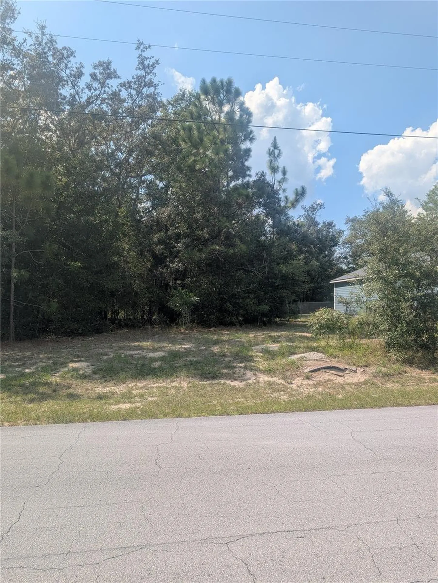 8010 N Primrose Drive Citrus Springs FL 34434
