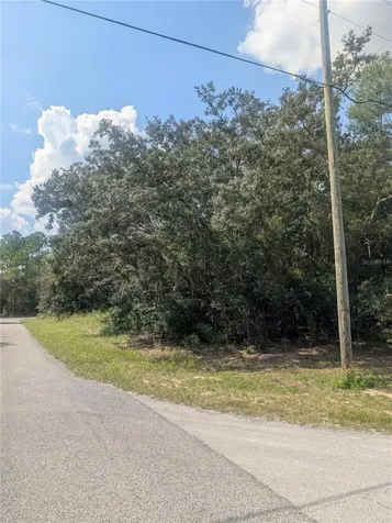 8010 N Primrose Drive Citrus Springs FL 34434