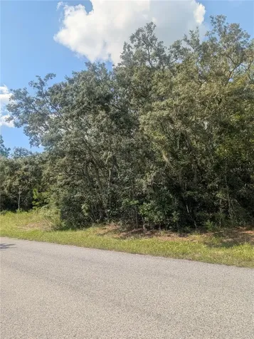 8010 N Primrose Drive Citrus Springs FL 34434