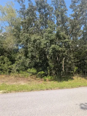 8010 N Primrose Drive Citrus Springs FL 34434