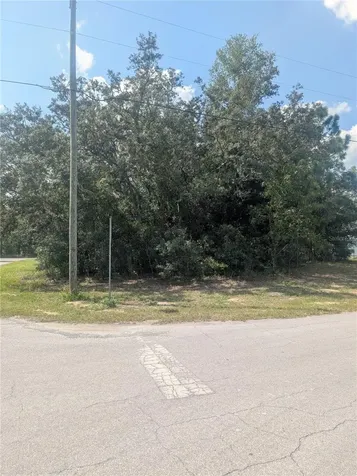 8010 N Primrose Drive Citrus Springs FL 34434