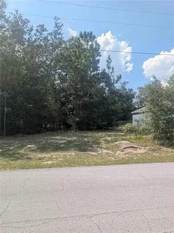 8010 N Primrose Drive Citrus Springs FL 34434
