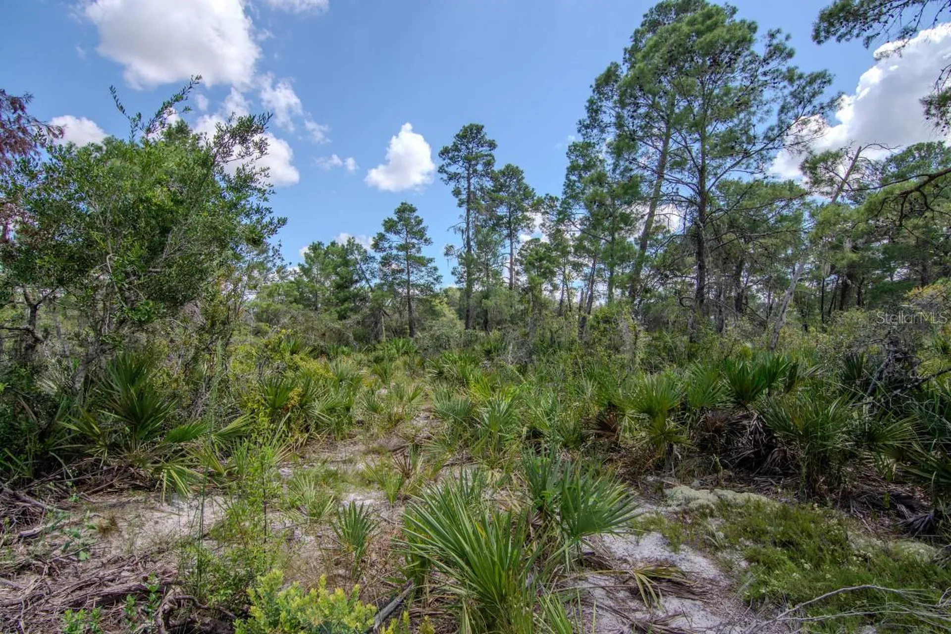 192 Freedom Drive Frostproof FL 33843