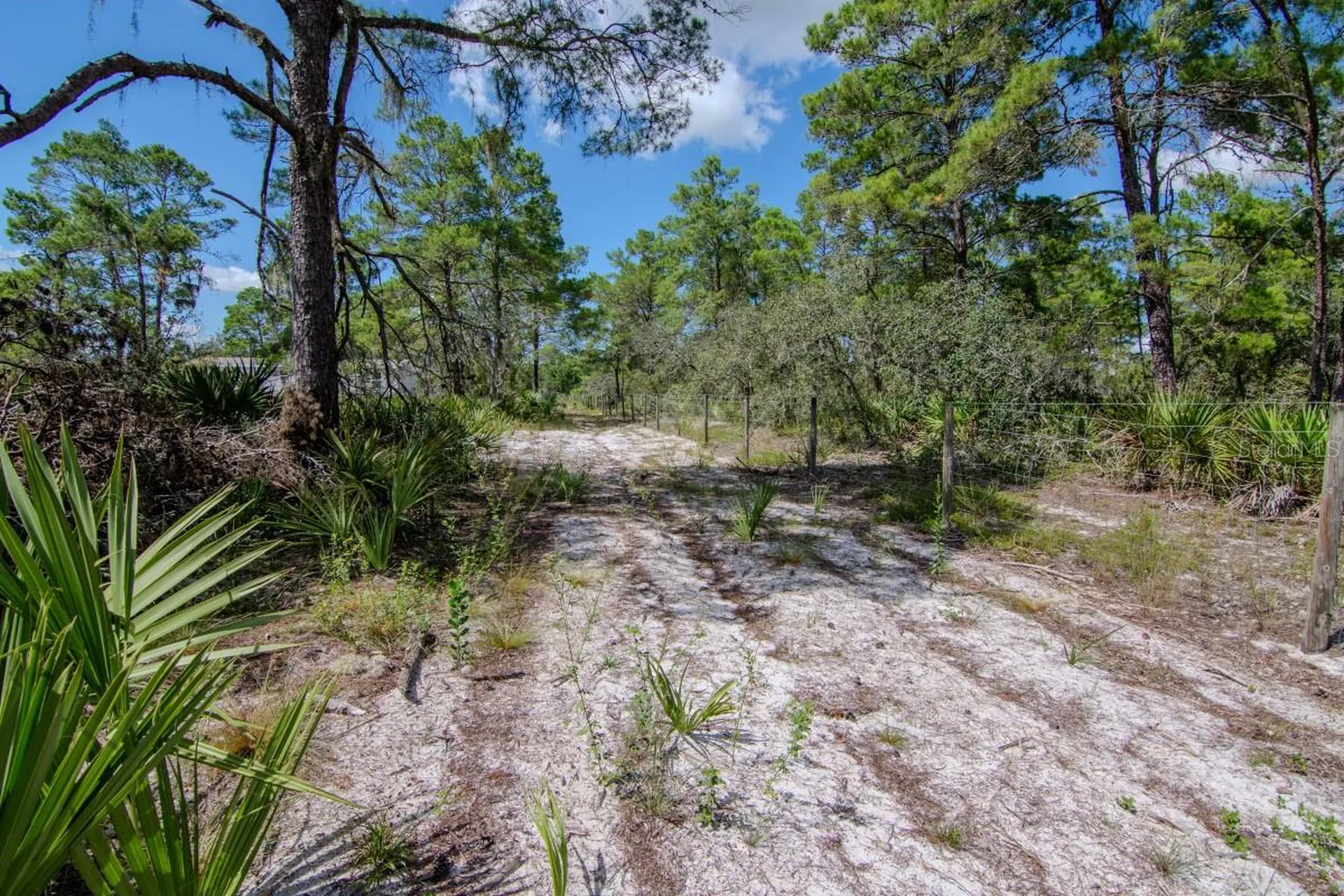192 Freedom Drive Frostproof FL 33843