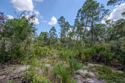 192 Freedom Drive Frostproof FL 33843