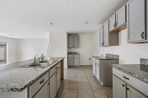 12175 Water Ash Place Riverview FL 33579