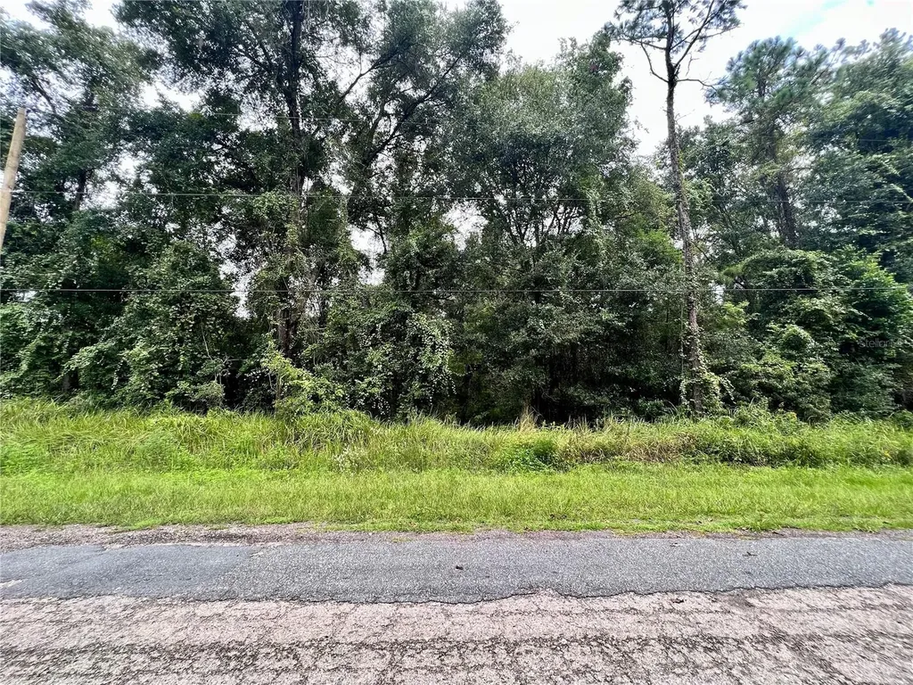 303 W Eridani Court Citrus Springs FL 34434