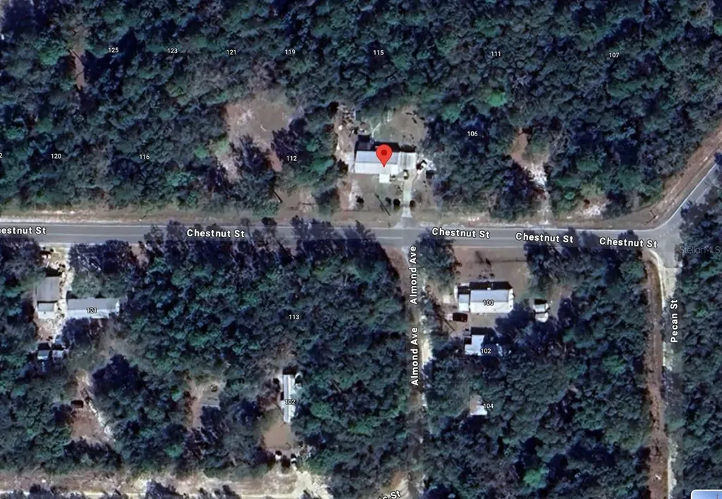 Chestnut Street Interlachen FL 32148