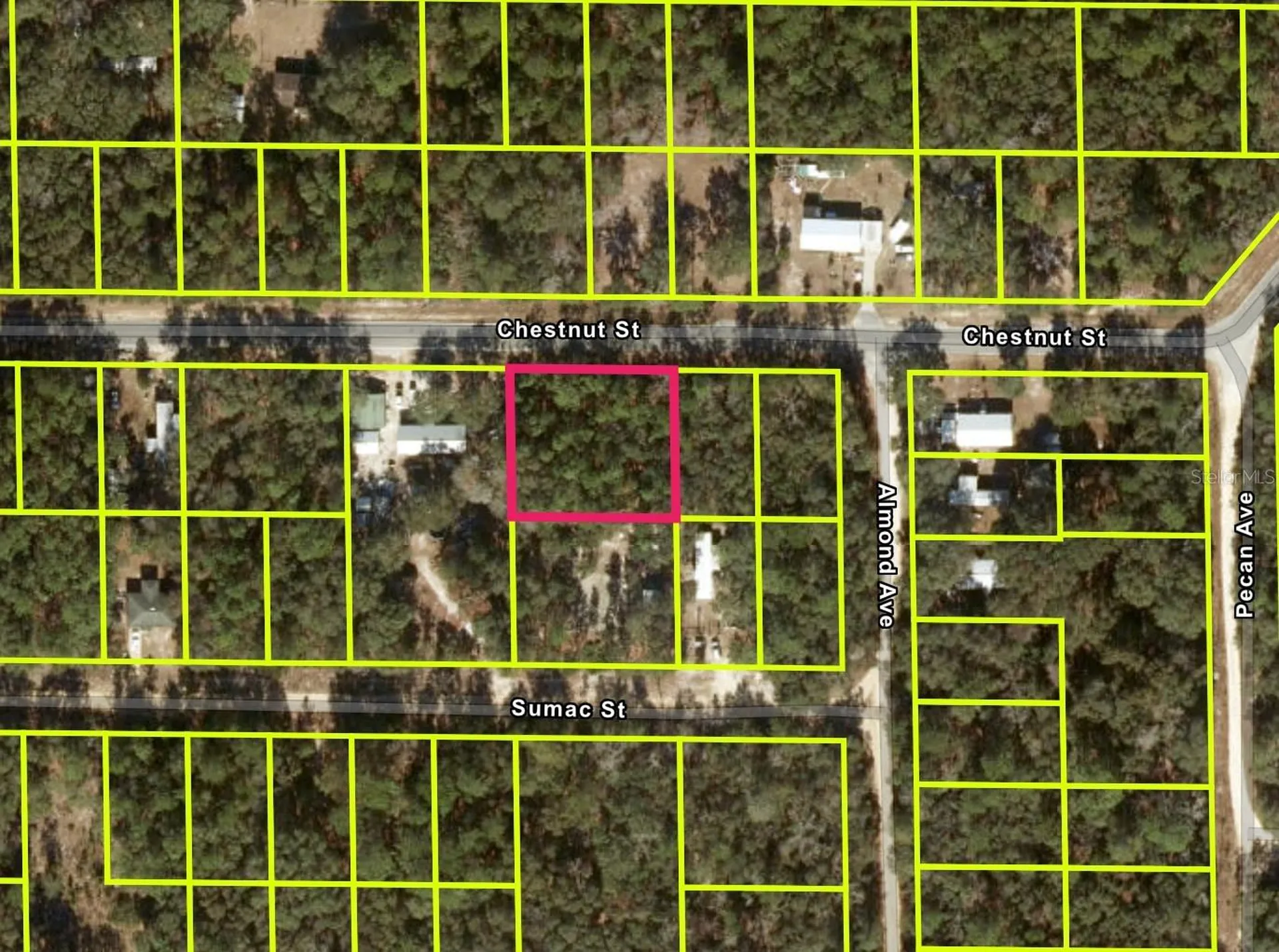 Chestnut Street Interlachen FL 32148