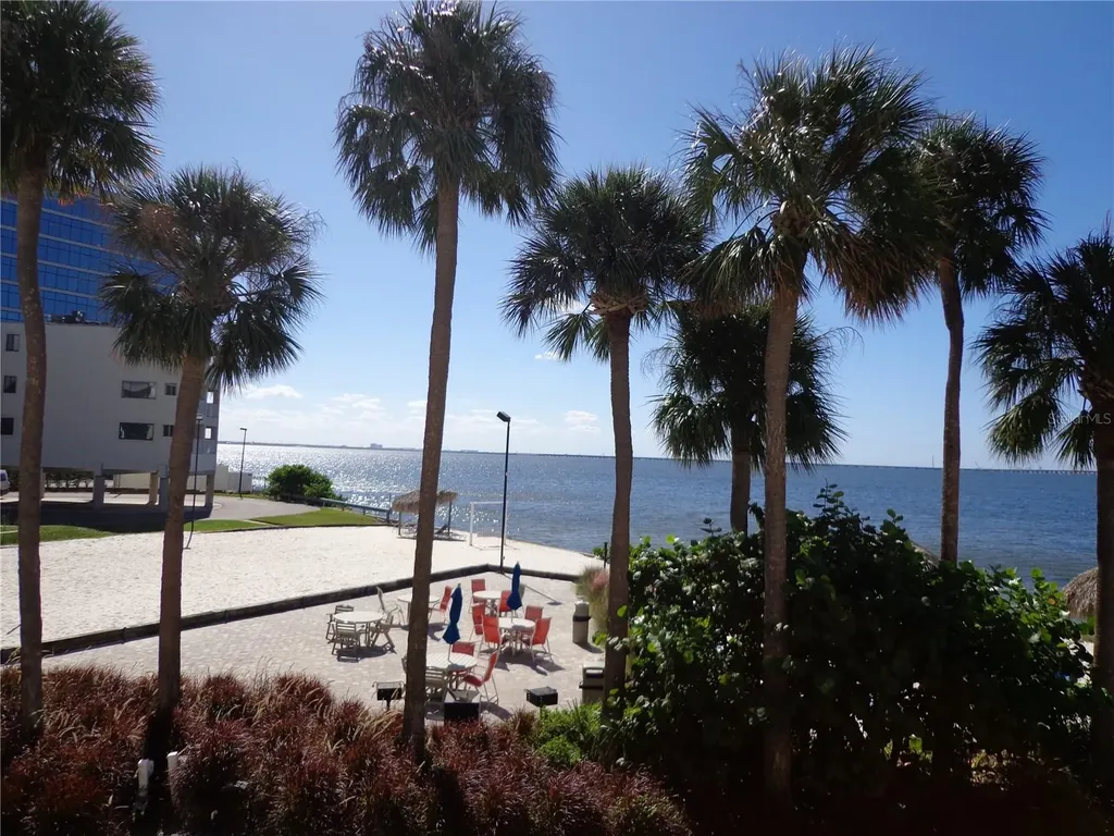 2506 N Rocky Point Drive Tampa FL 33607