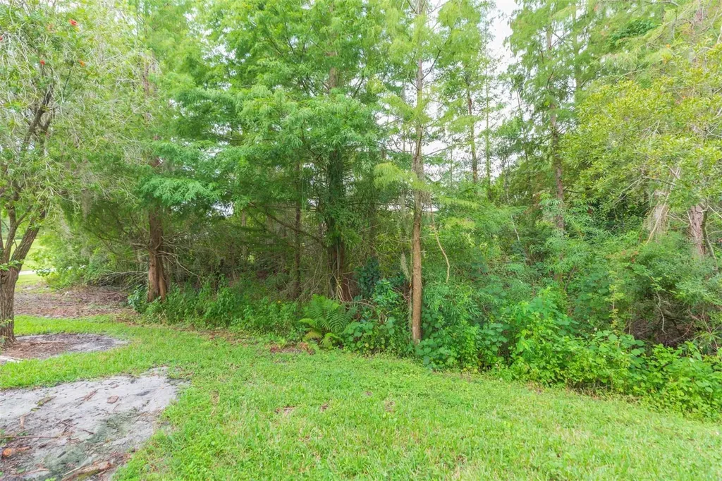 18102 Nassau Point Drive Tampa FL 33647