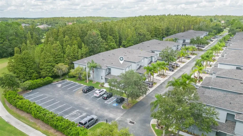 18102 Nassau Point Drive Tampa FL 33647