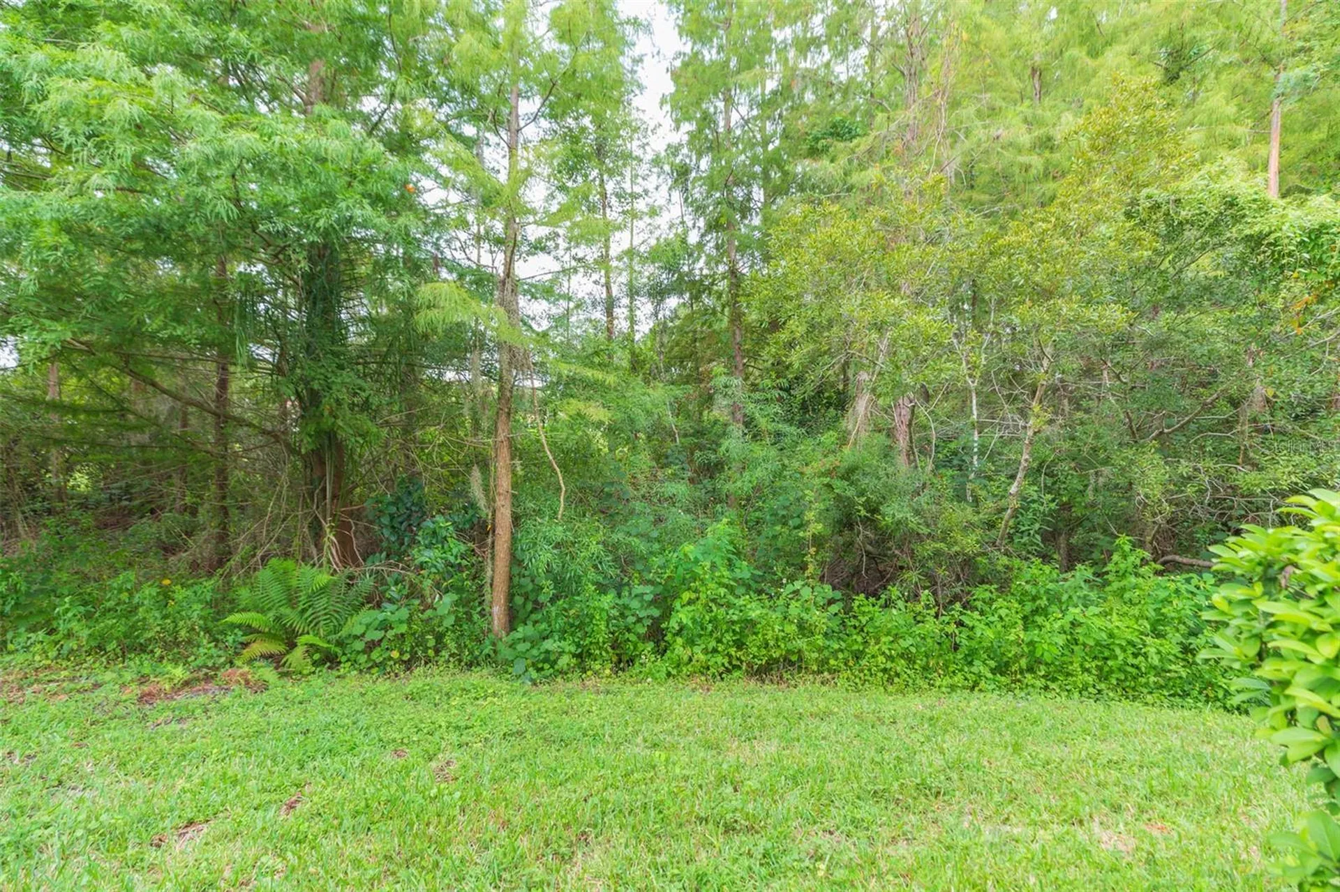 18102 Nassau Point Drive Tampa FL 33647