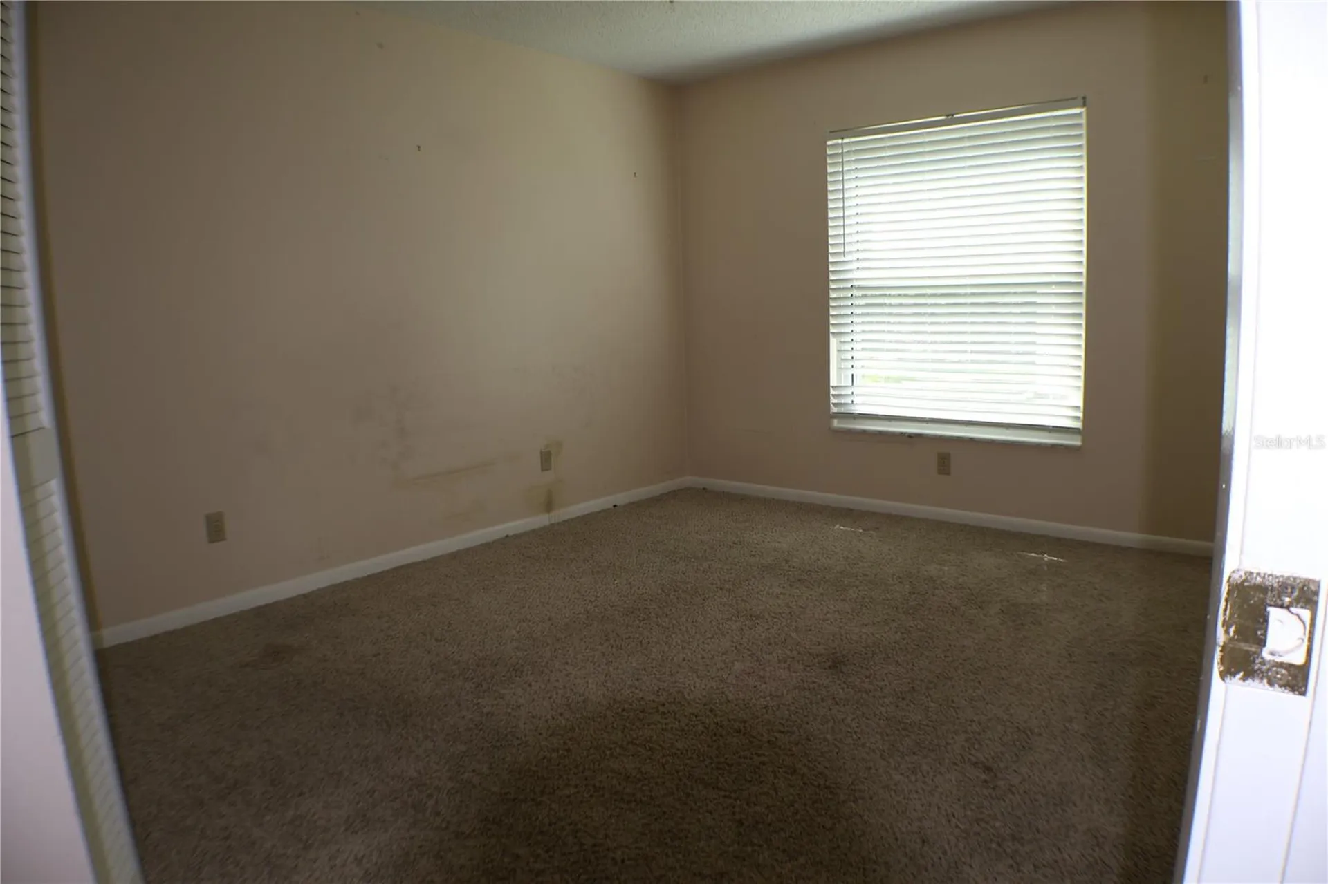 11806 White Ash Drive New Port Richey FL 34654