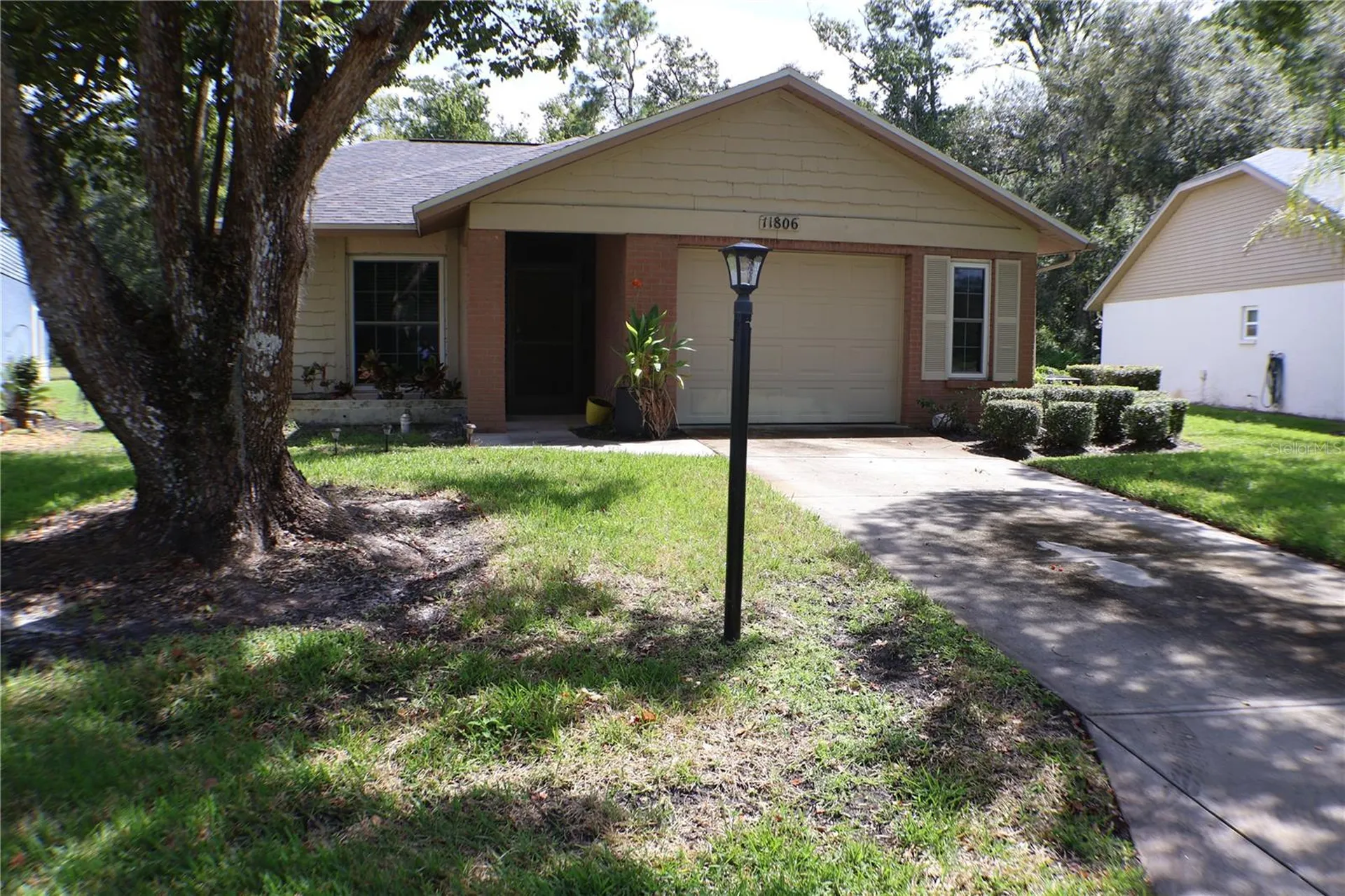 11806 White Ash Drive New Port Richey FL 34654