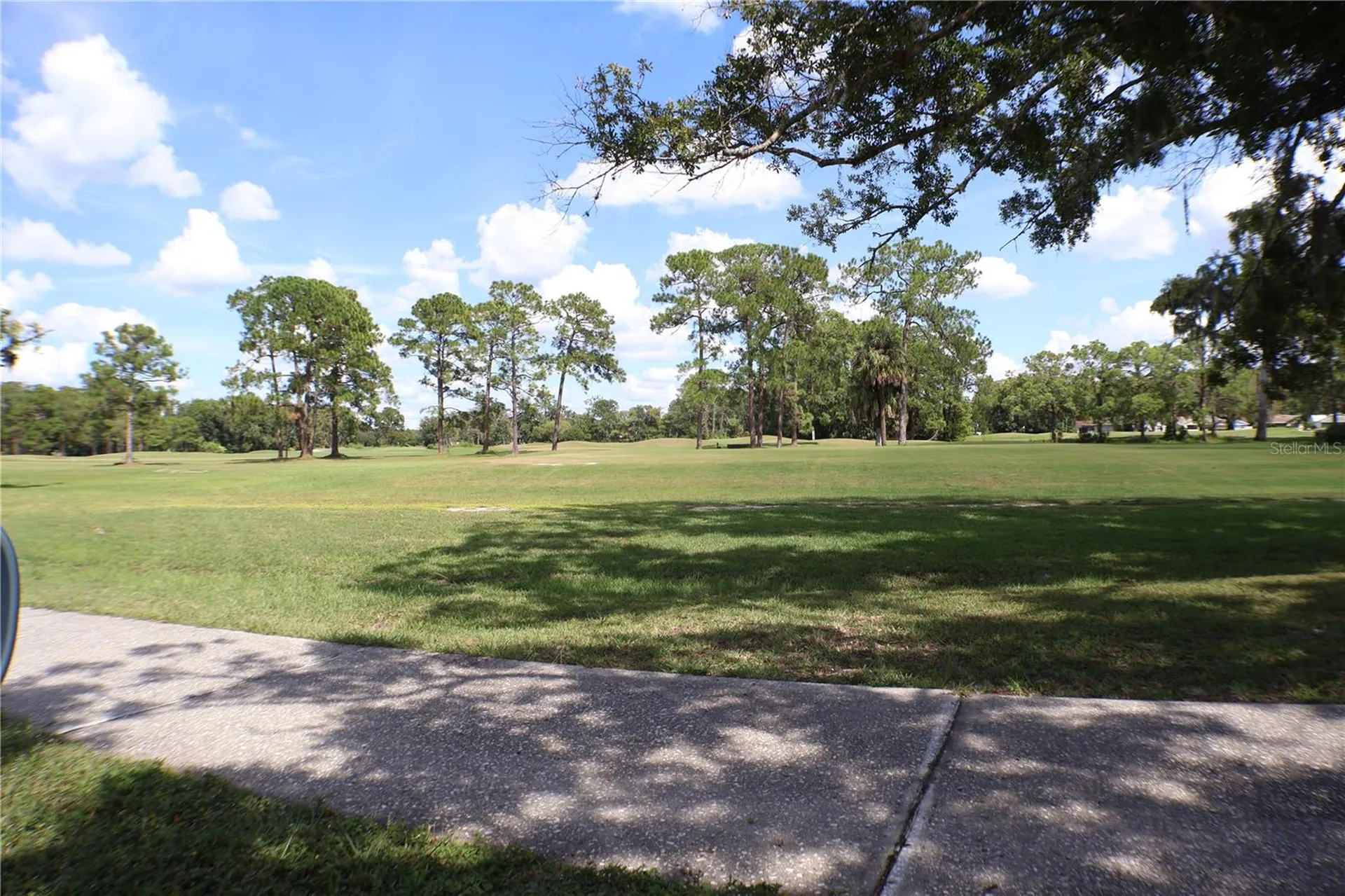 11806 White Ash Drive New Port Richey FL 34654