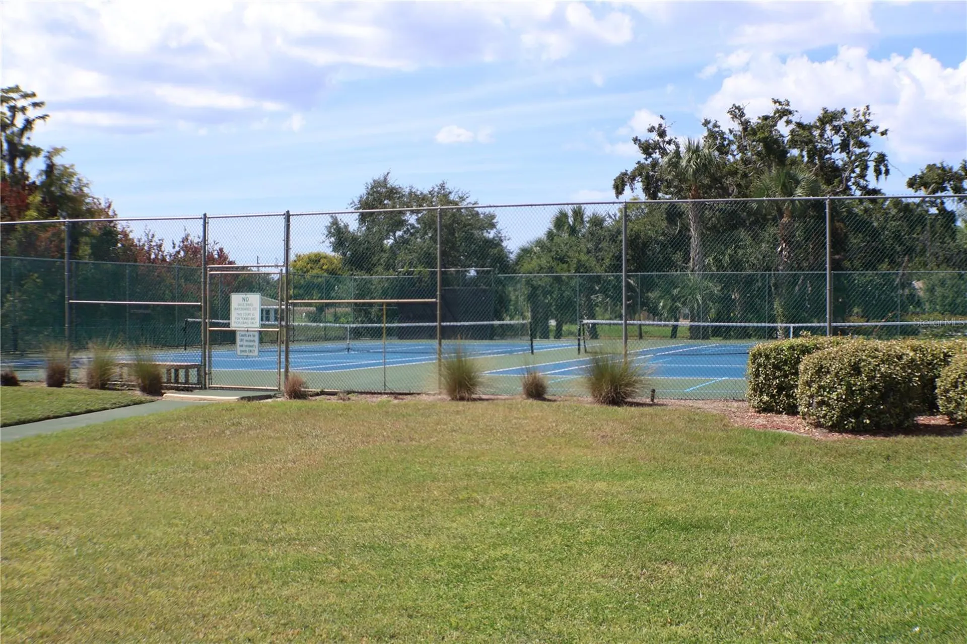 11806 White Ash Drive New Port Richey FL 34654