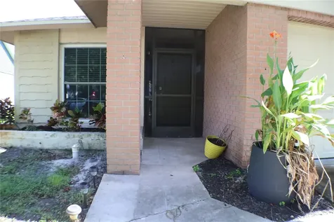 11806 White Ash Drive New Port Richey FL 34654