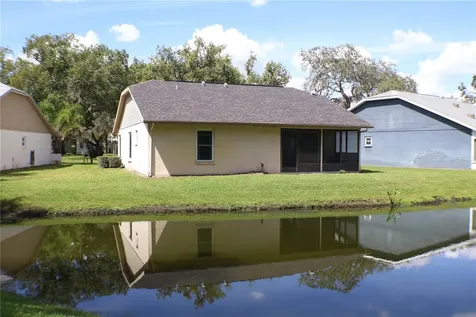 11806 White Ash Drive New Port Richey FL 34654
