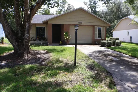 11806 White Ash Drive New Port Richey FL 34654