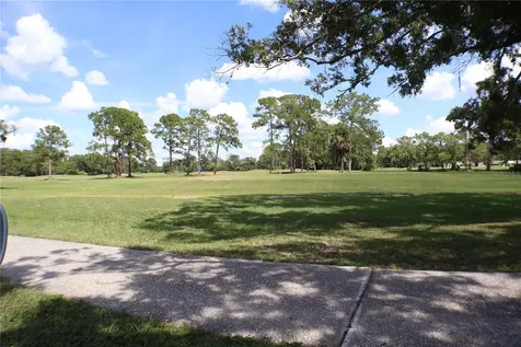 11806 White Ash Drive New Port Richey FL 34654