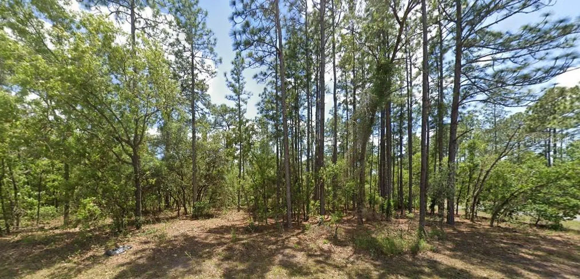 3662 W Galtonia Lane Citrus Springs FL 34433