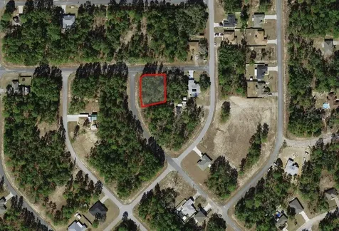3662 W Galtonia Lane Citrus Springs FL 34433