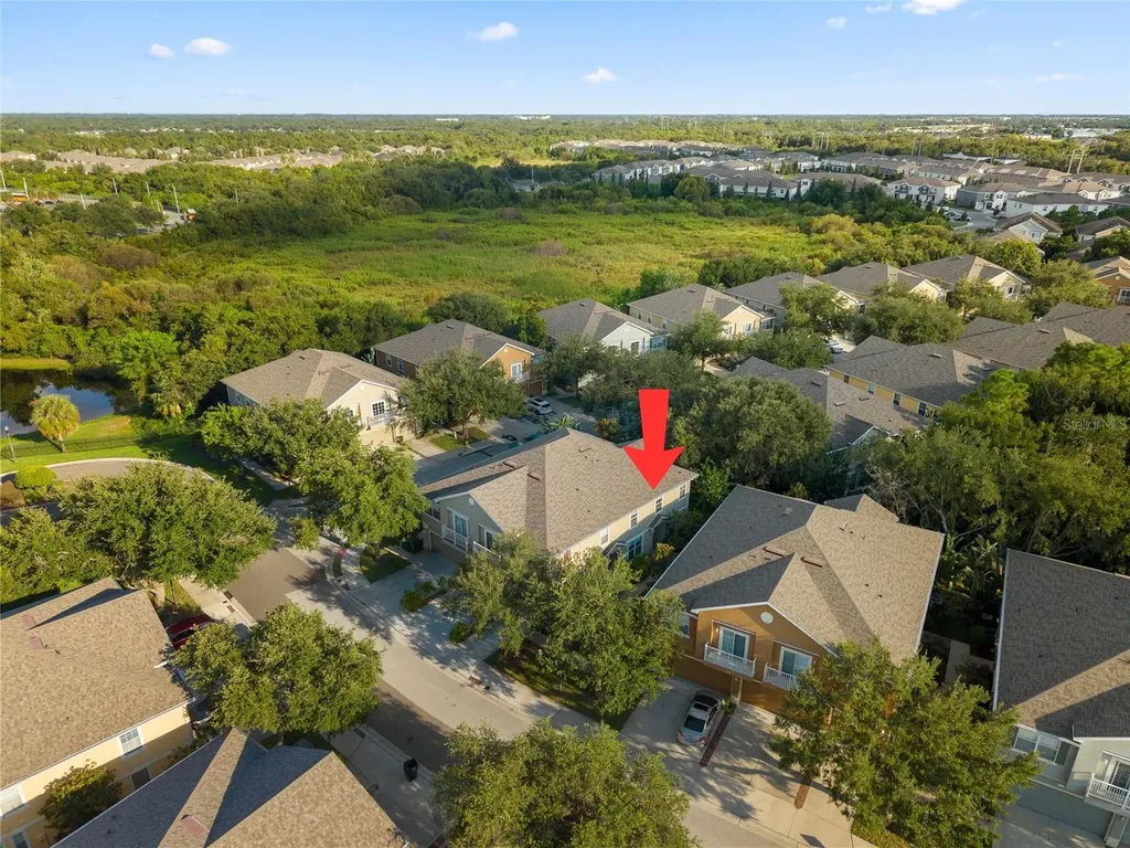 6714 Breezy Palm Drive Riverview FL 33578