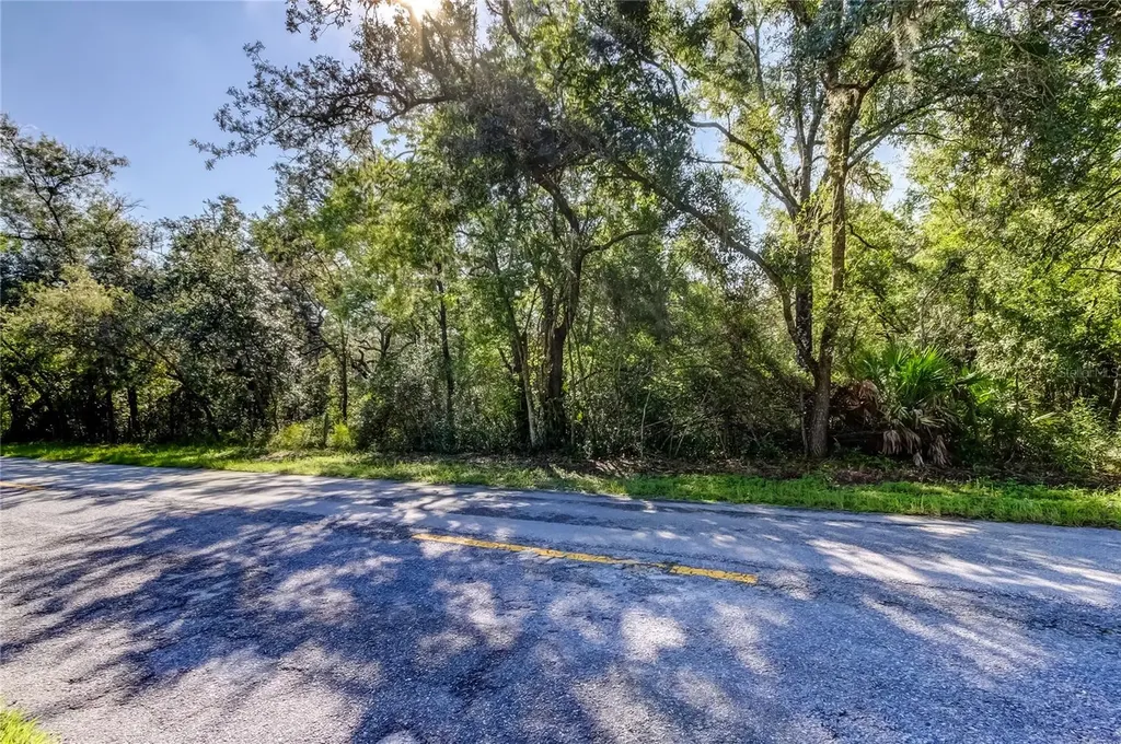 9670 Star Trail New Port Richey FL 34654