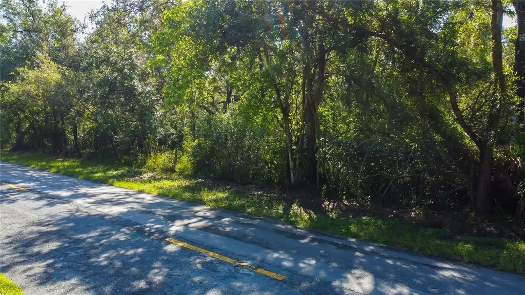 9670 Star Trail New Port Richey FL 34654