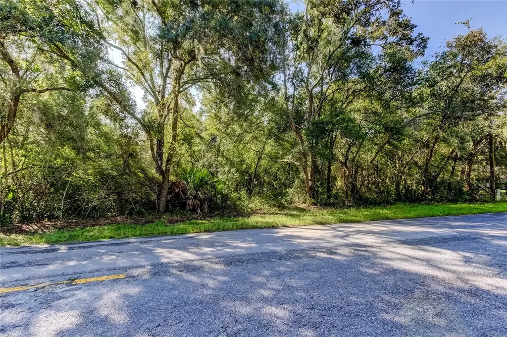 9670 Star Trail New Port Richey FL 34654