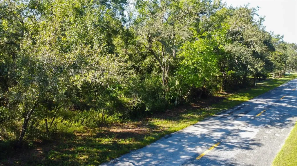 9670 Star Trail New Port Richey FL 34654