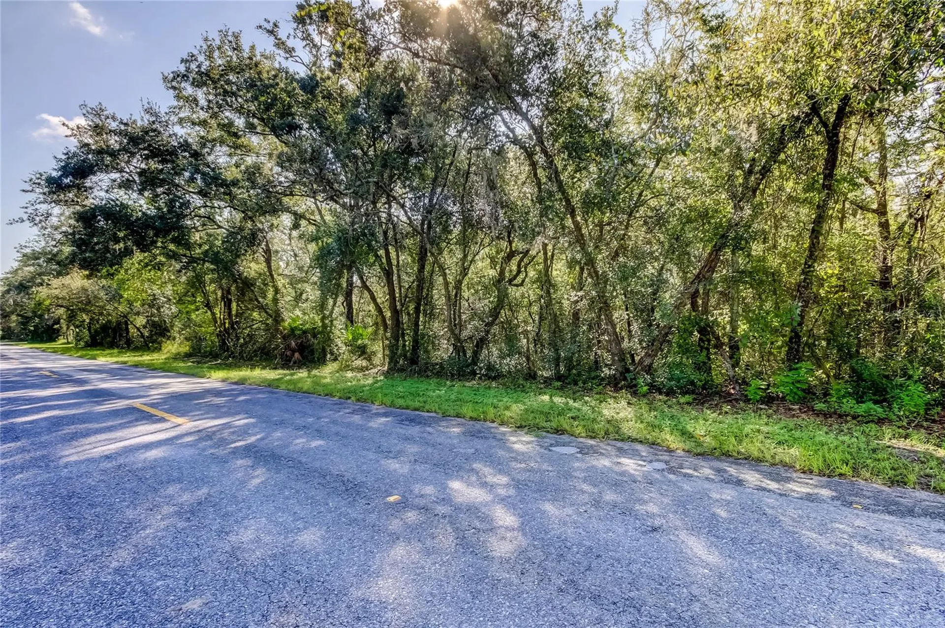 9670 Star Trail New Port Richey FL 34654