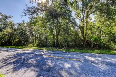 9670 Star Trail New Port Richey FL 34654