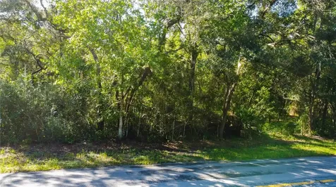 9670 Star Trail New Port Richey FL 34654