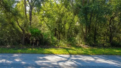 9670 Star Trail New Port Richey FL 34654