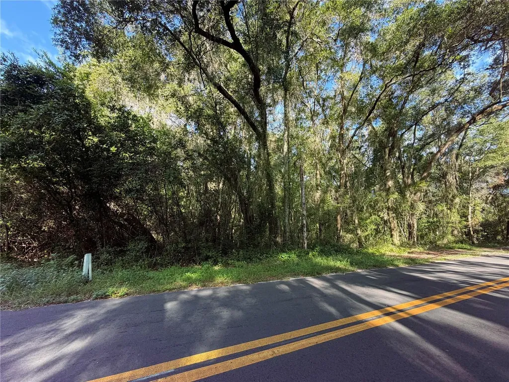 Tbd S St Clair Street Wildwood FL 34785