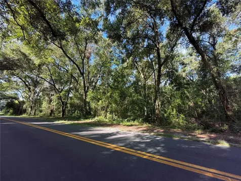 Tbd S St Clair Street Wildwood FL 34785
