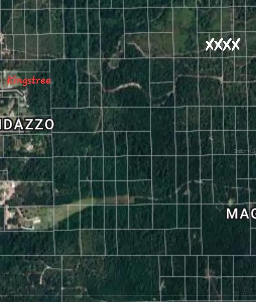 No Name Deland FL 32724