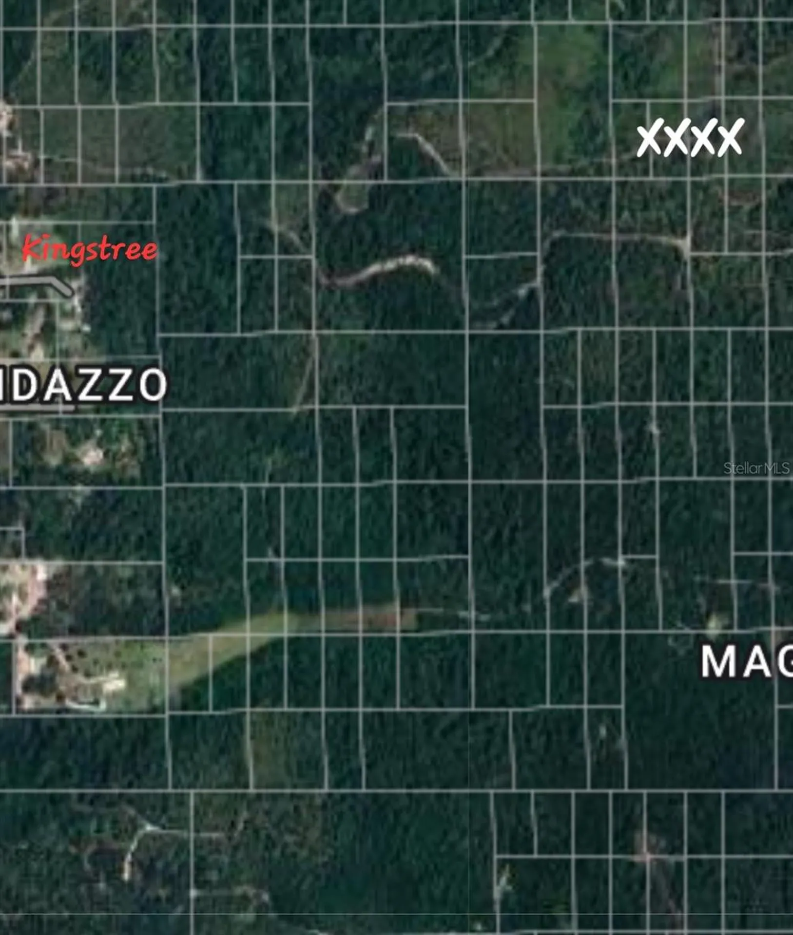No Name Deland FL 32724