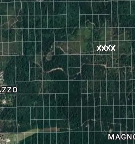 No Name Deland FL 32724