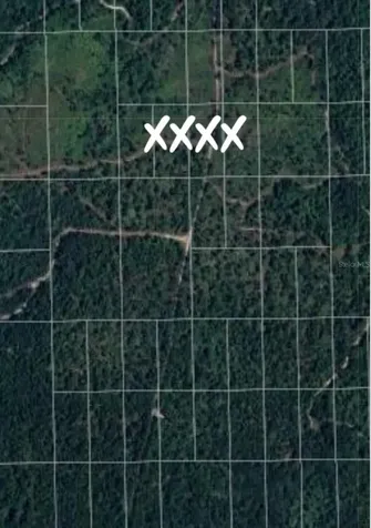 No Name Deland FL 32724