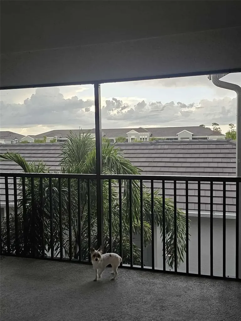 17470 Opal Sand Drive Venice FL 34293
