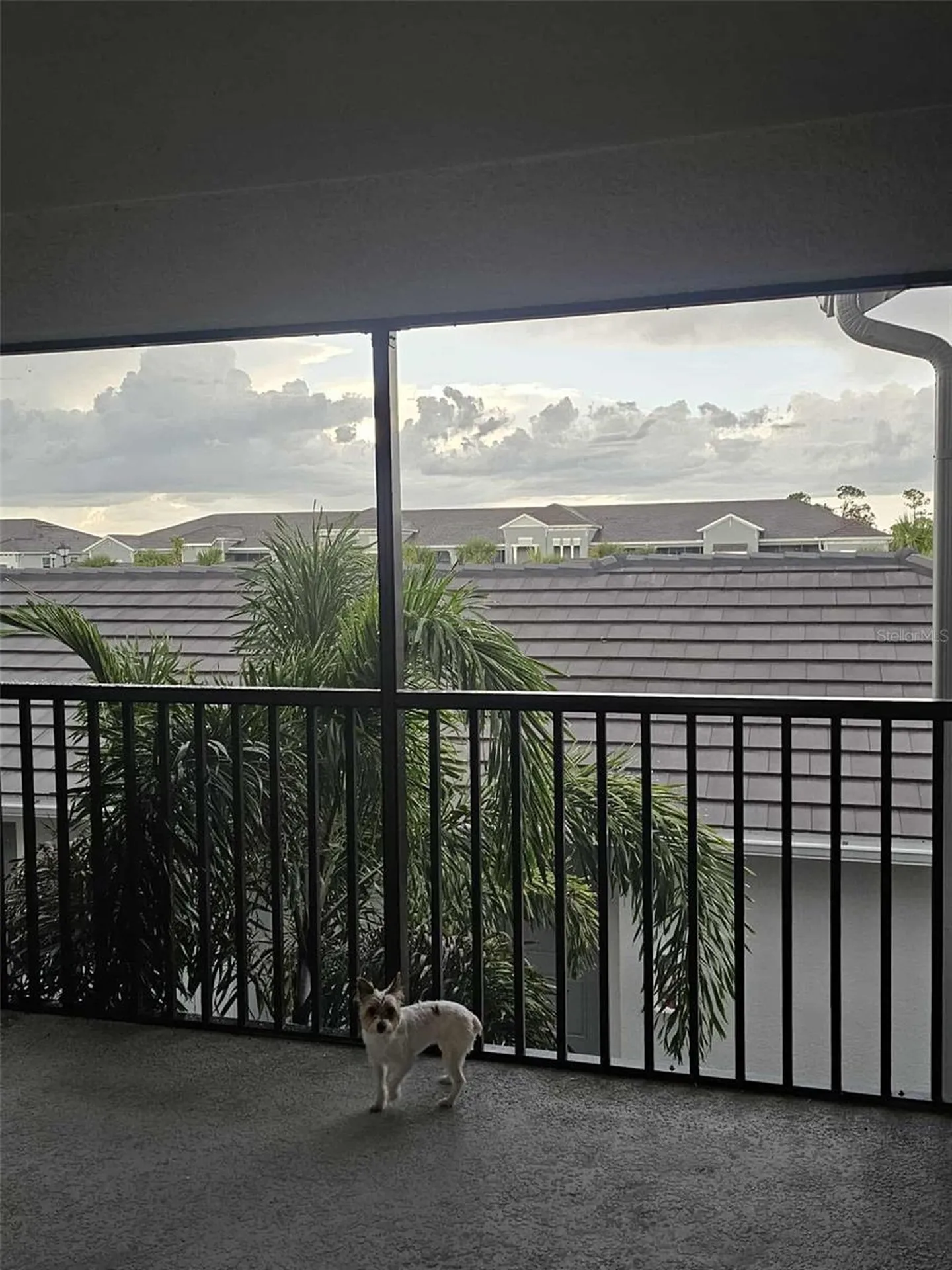17470 Opal Sand Drive Venice FL 34293