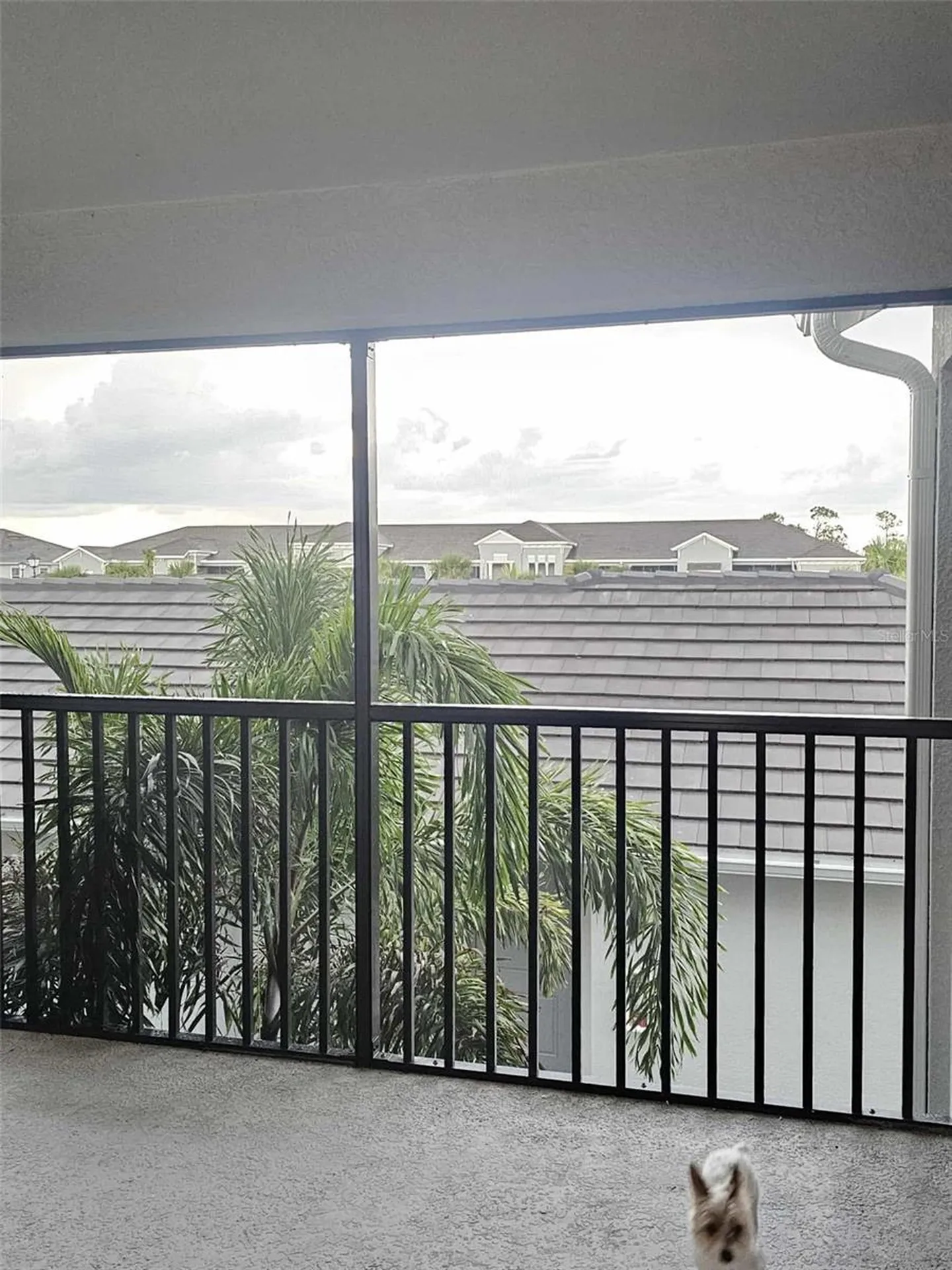 17470 Opal Sand Drive Venice FL 34293