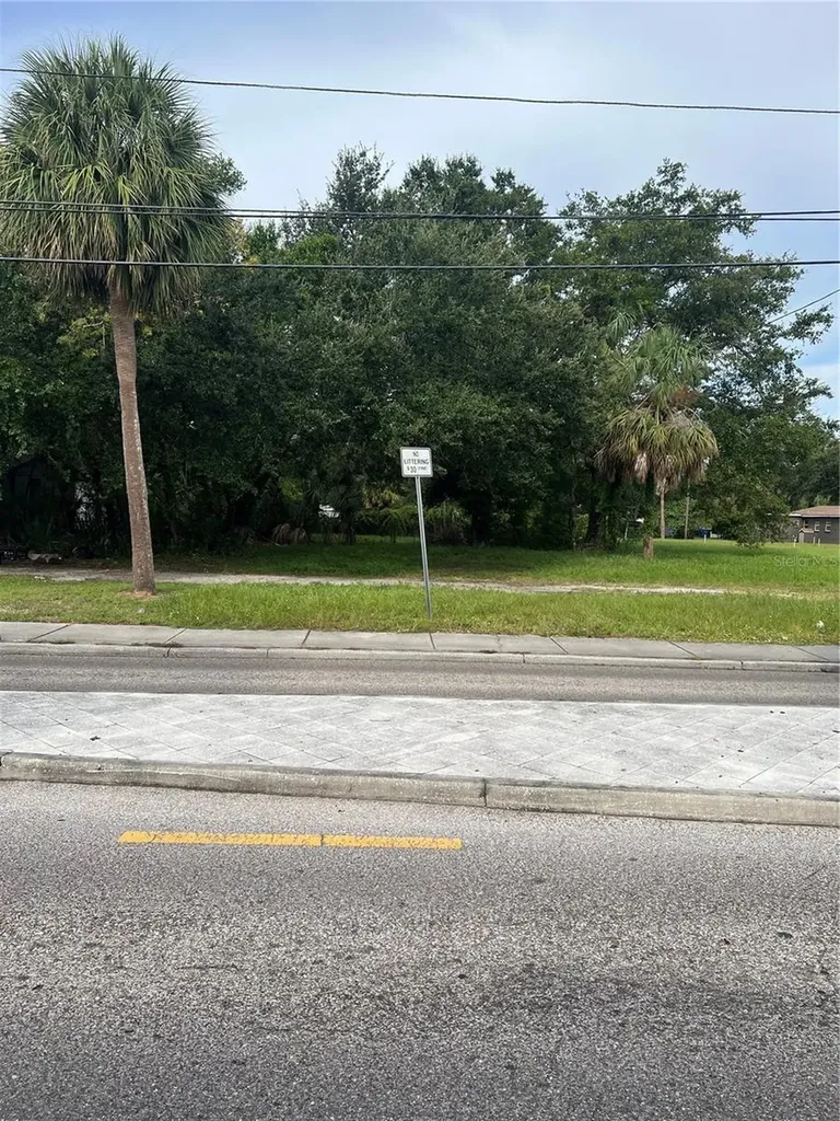 Martin Luther King Jr Avenue Clearwater FL 33755
