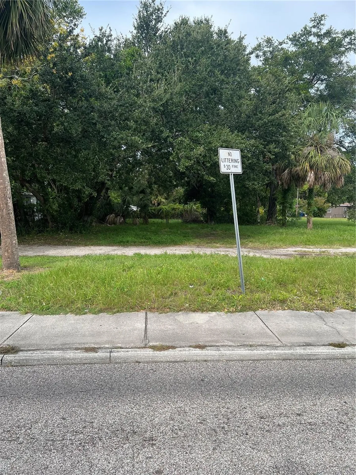 Martin Luther King Jr Avenue Clearwater FL 33755