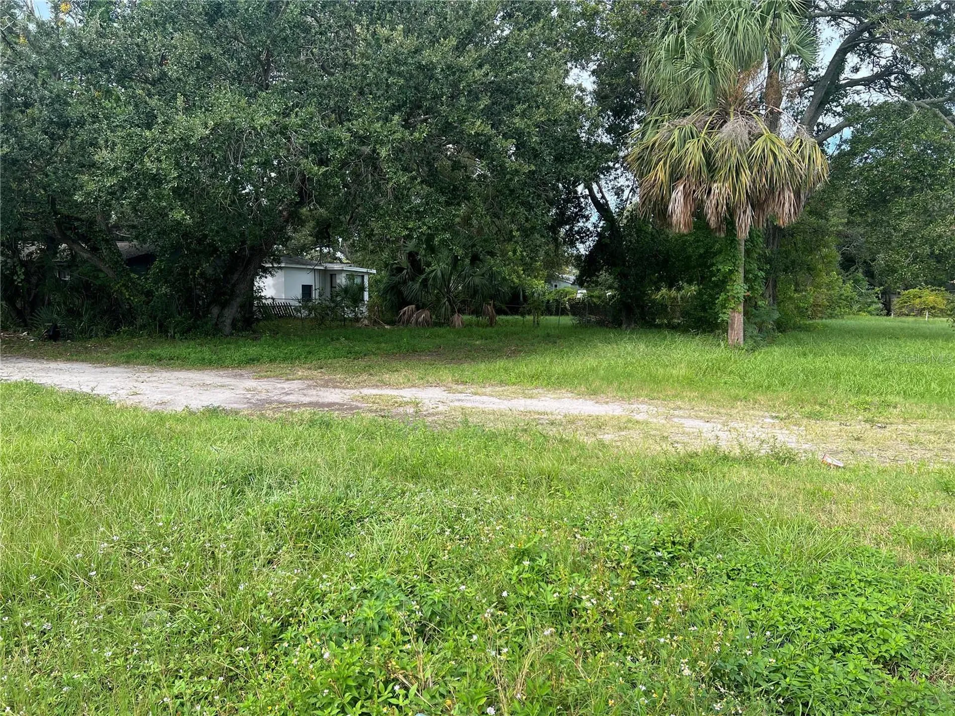 Martin Luther King Jr Avenue Clearwater FL 33755