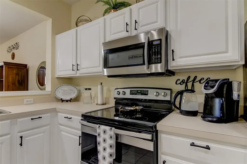 26642 Castleview Way Wesley Chapel FL 33544