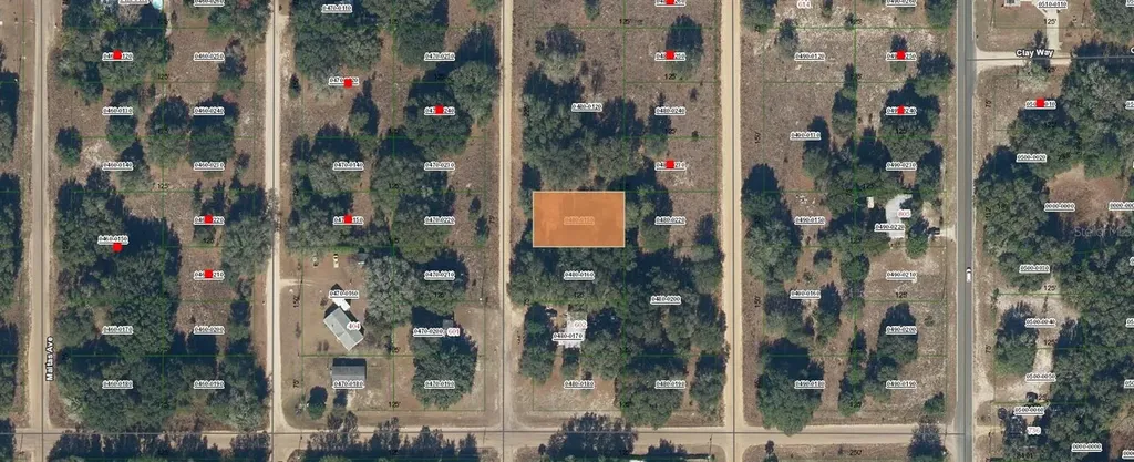 Guy Avenue Interlachen FL 32148